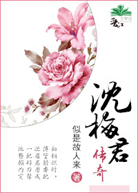 沈梅君傳奇 小說封面