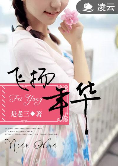 飛敭年華小說封面